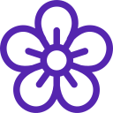 A purple flower with a white center on a white background.