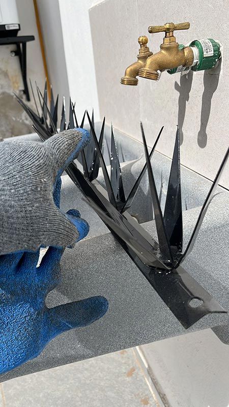 CORONA EXPERTOS EN SEGURIDAD