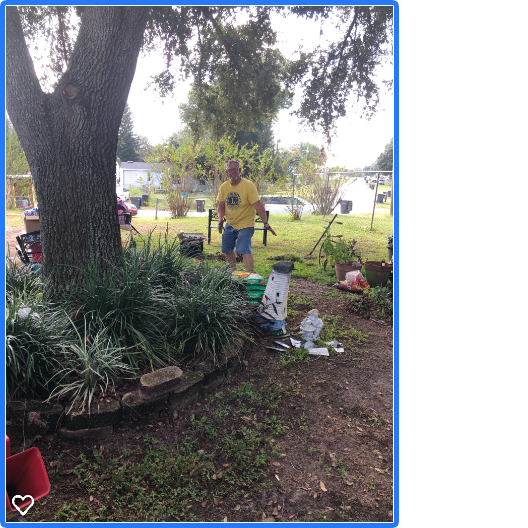Person gardening near a tree; many plants, gardening supplies, and a statue are on the ground.
