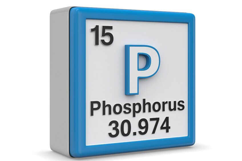 Understanding phosphate levels in your swimming pool