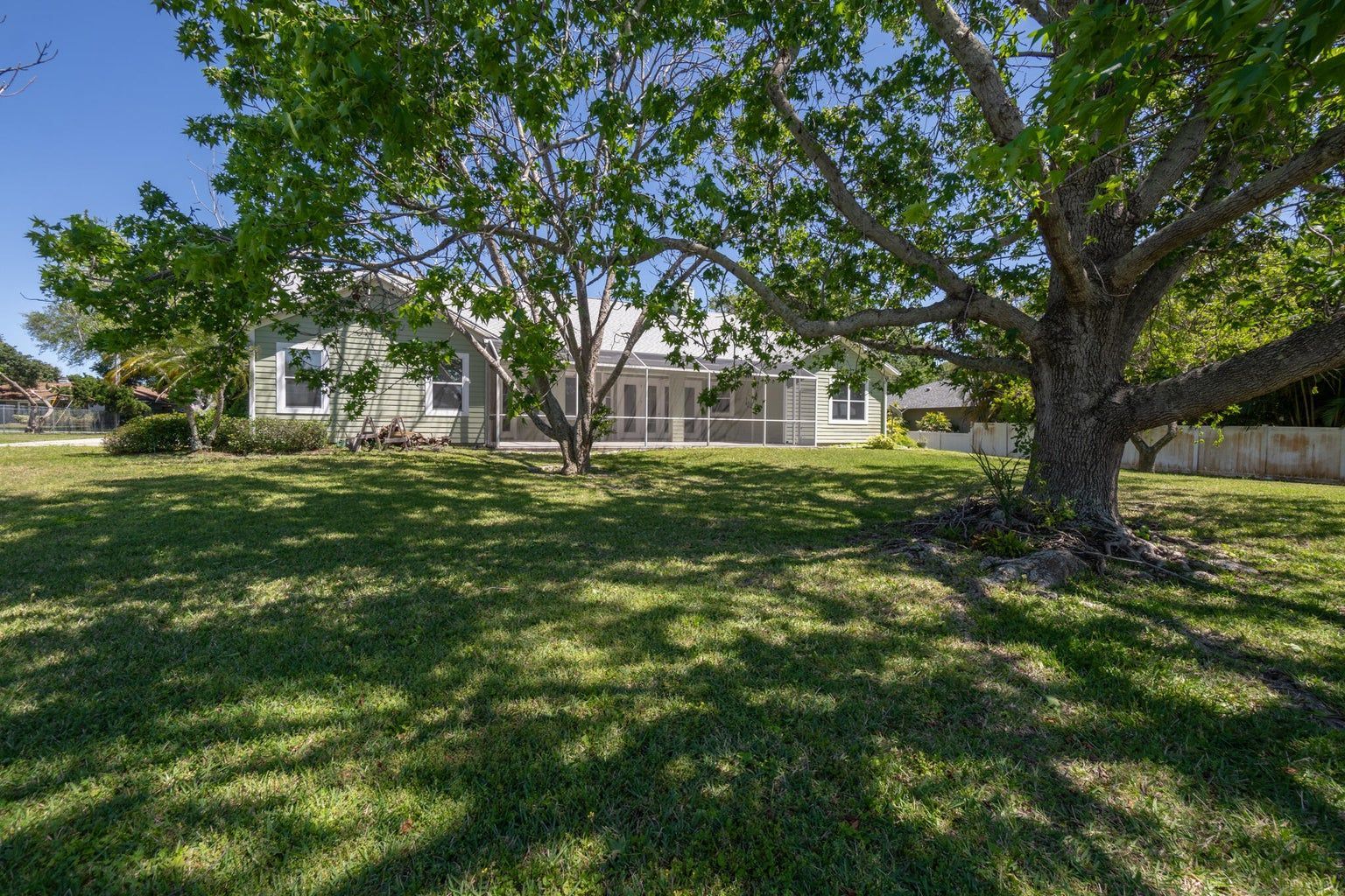 Green house behind large trees with sunny lawn.