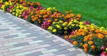A brick walkway with a row of colorful flowers on the side.