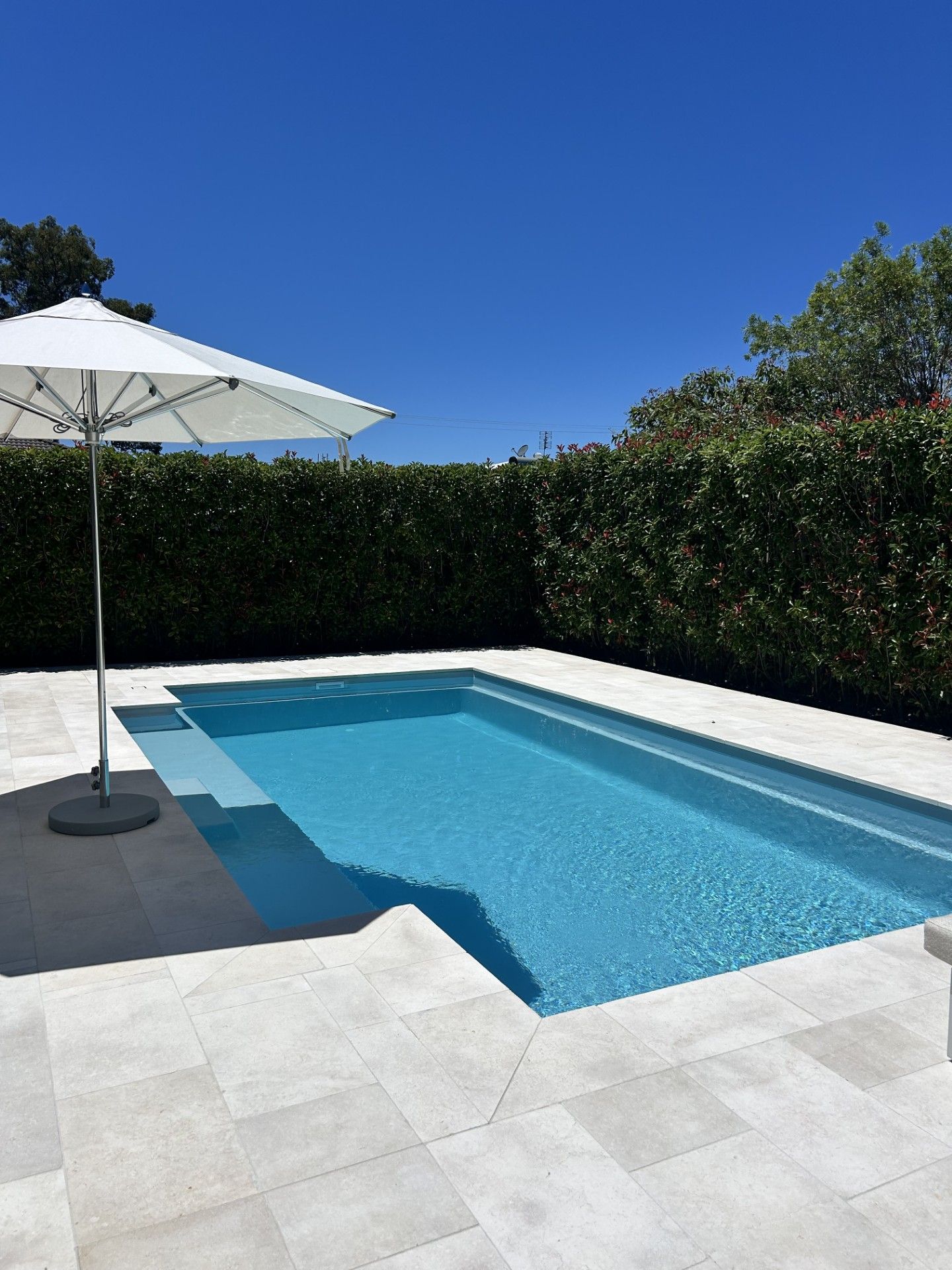 Rectangular blue pool with white umbrella and surrounding stone patio, bordered by green hedge, under a bright blue sky — Clarence Valley Pools In Yamba, NSW