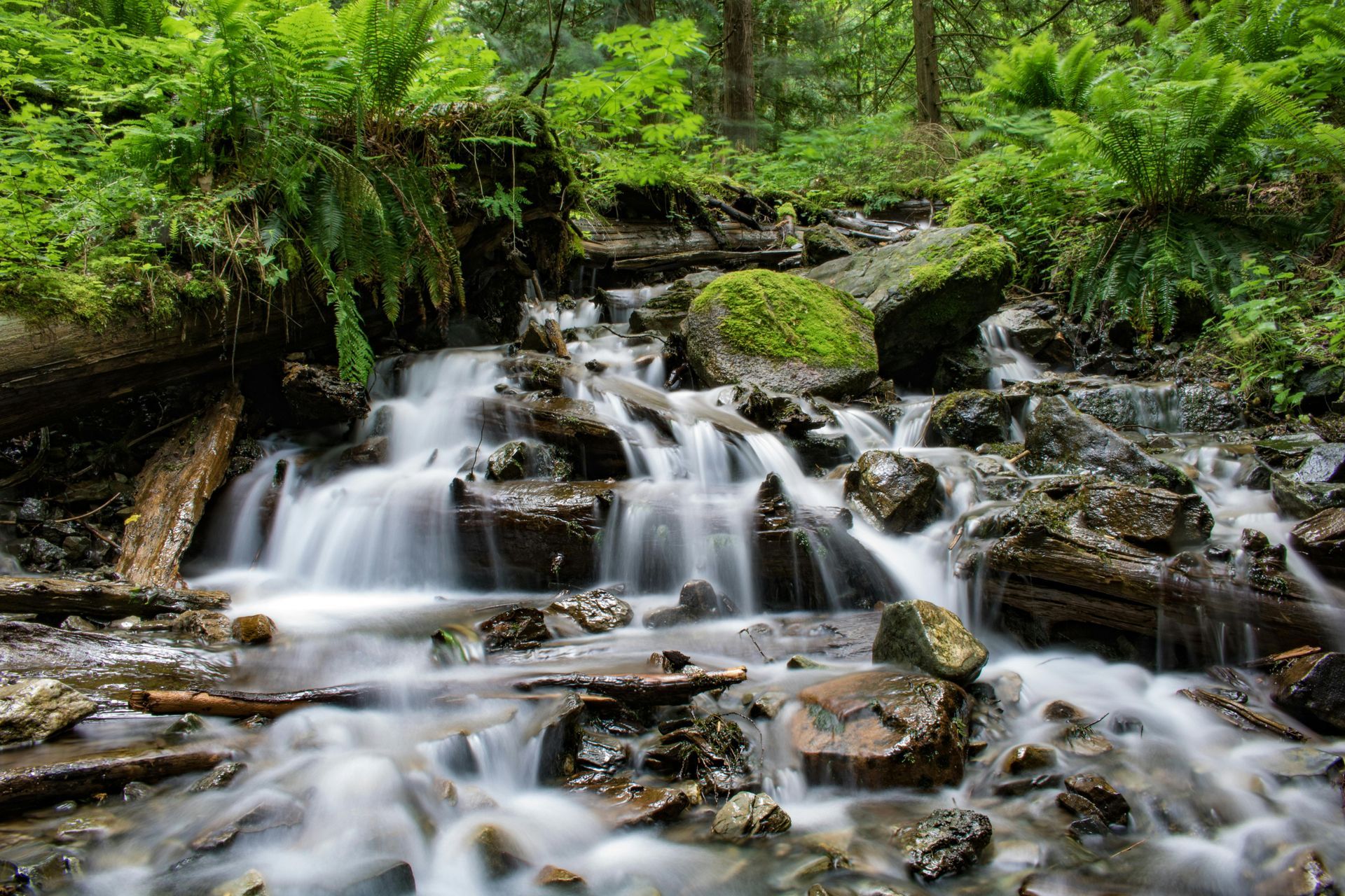 A small waterfall in the middle of a forest