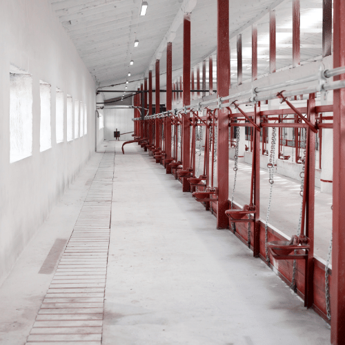 cheap cattle barn flooring near me dallas texas