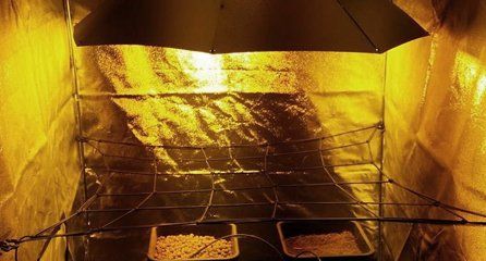 Lights and accessories