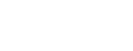 Village Rug Cleaning Logo