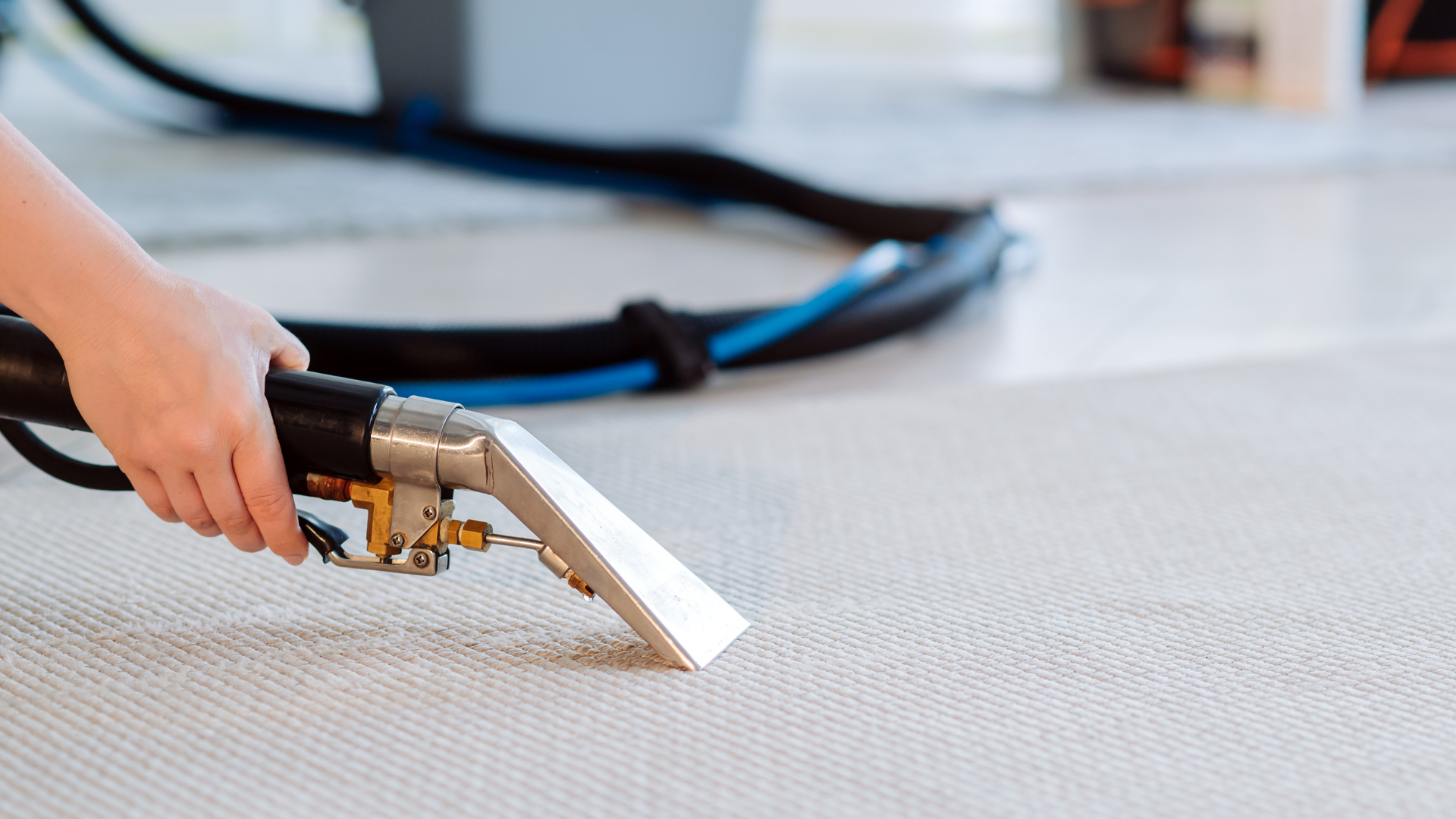 A person is cleaning a carpet with a machine.