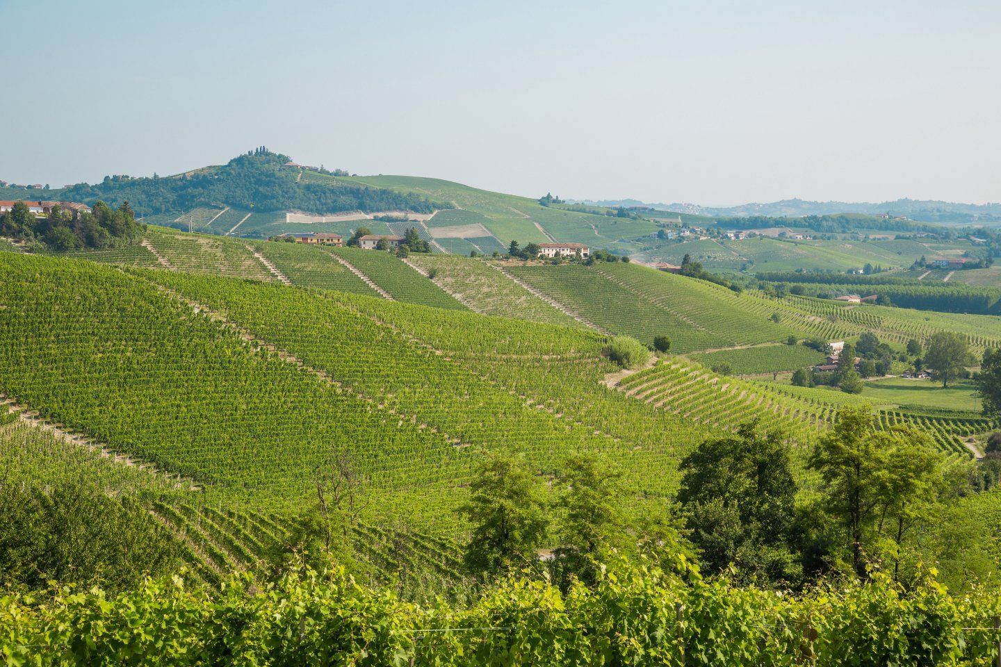 Casale Monferrato