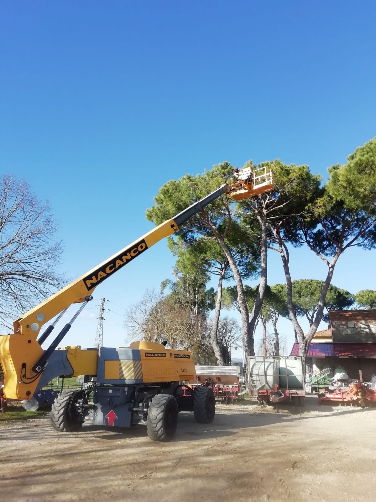 potatura albero in tree climbing