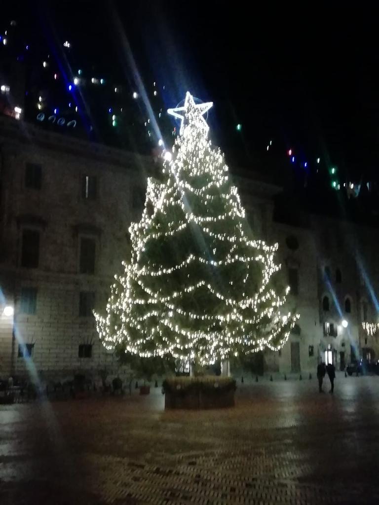 albero di natale illuminato