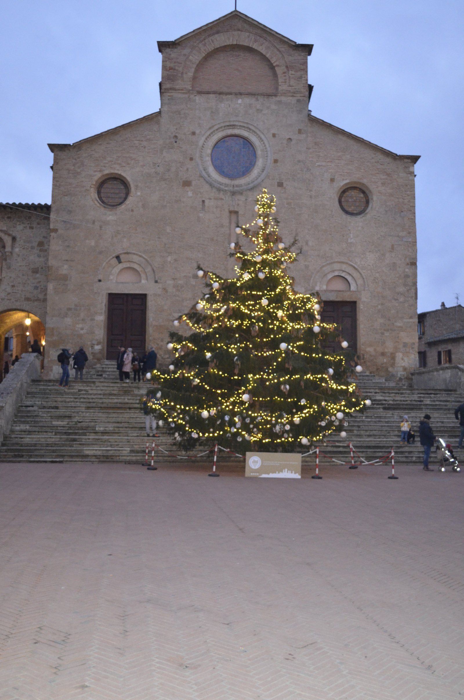 Albero di Natale acceso in una piazza