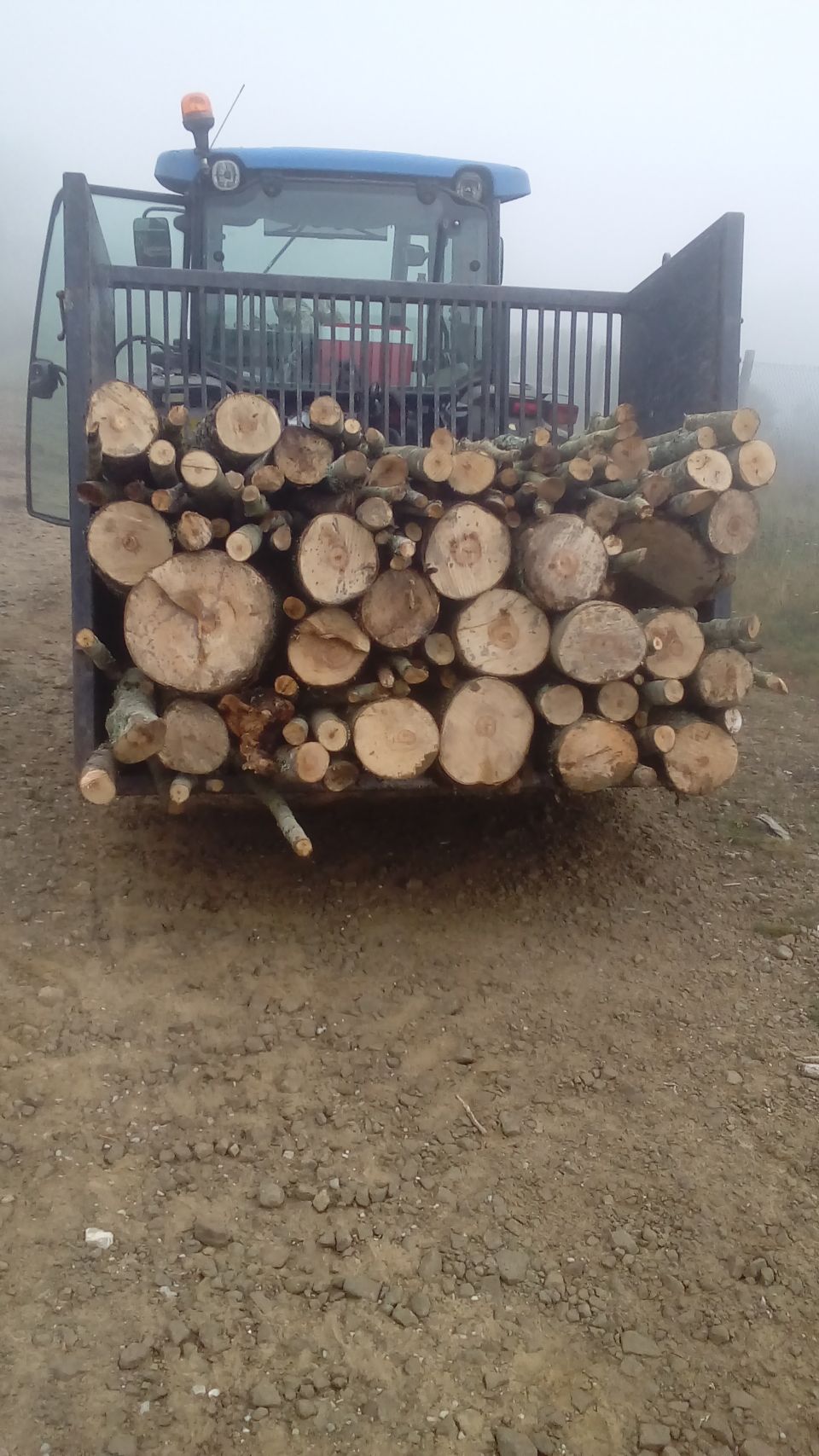 trasporto di tronchi