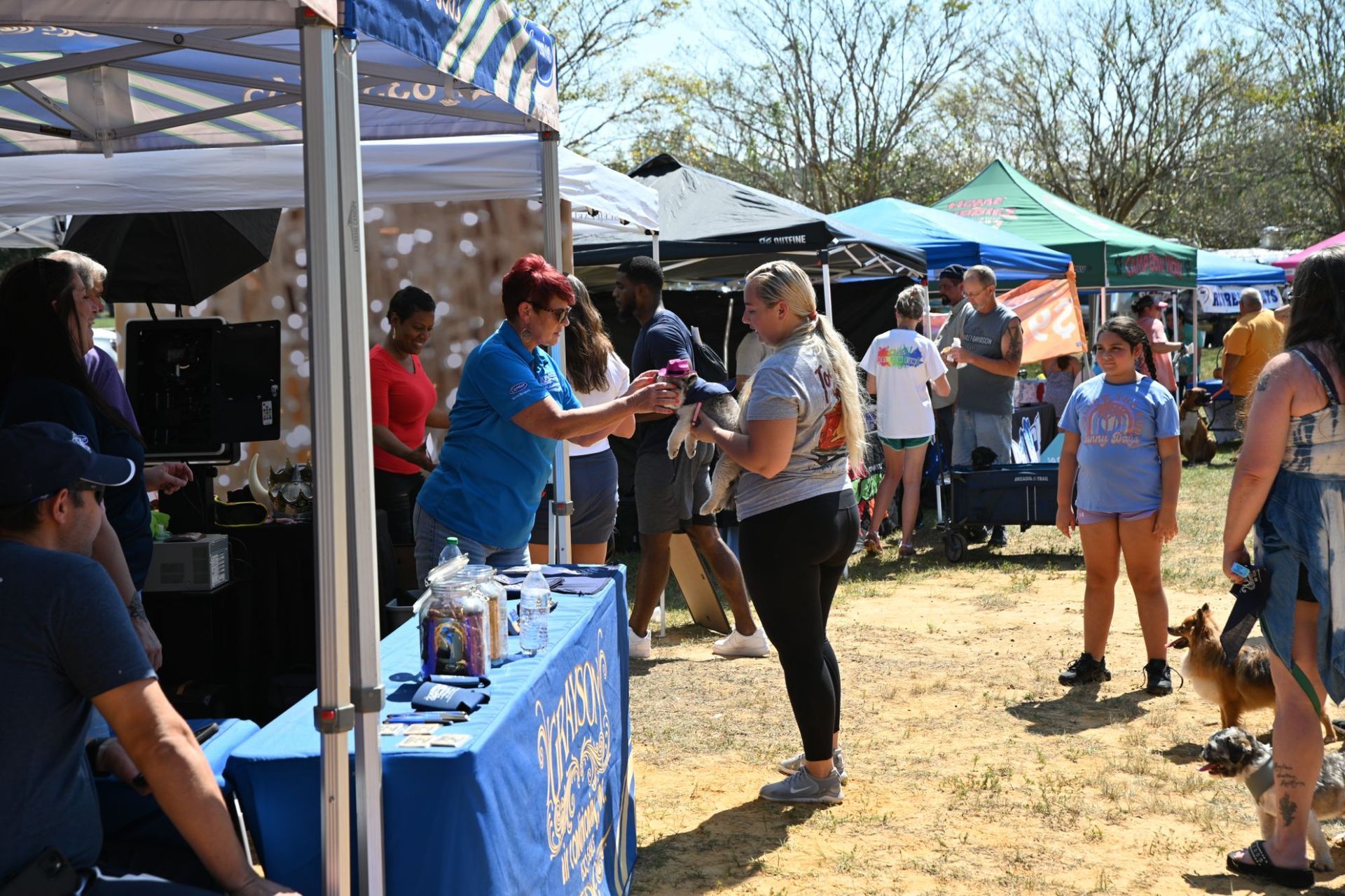 HVAC Company Mobile AL