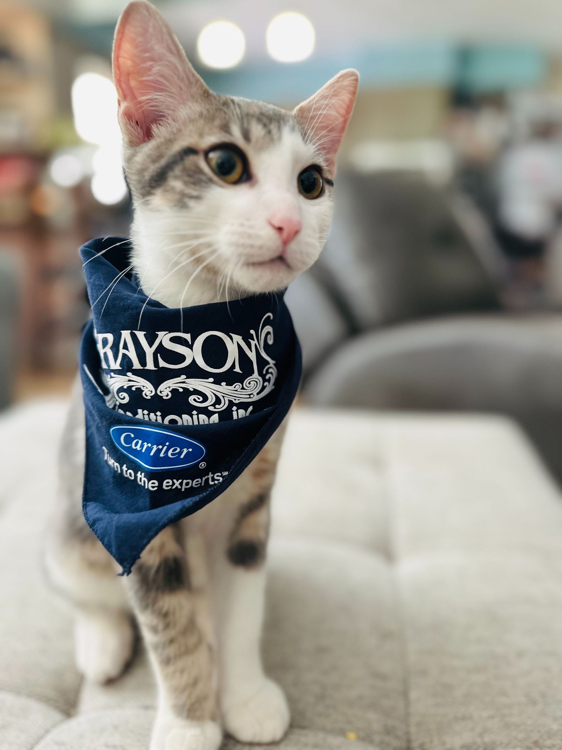 HVAC Company Mobile AL