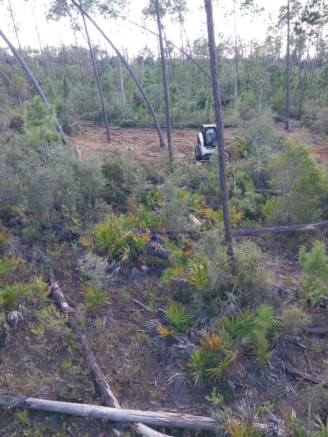 A small excavator works in a forest clearing, surrounded by trees, shrubs, and fallen logs.