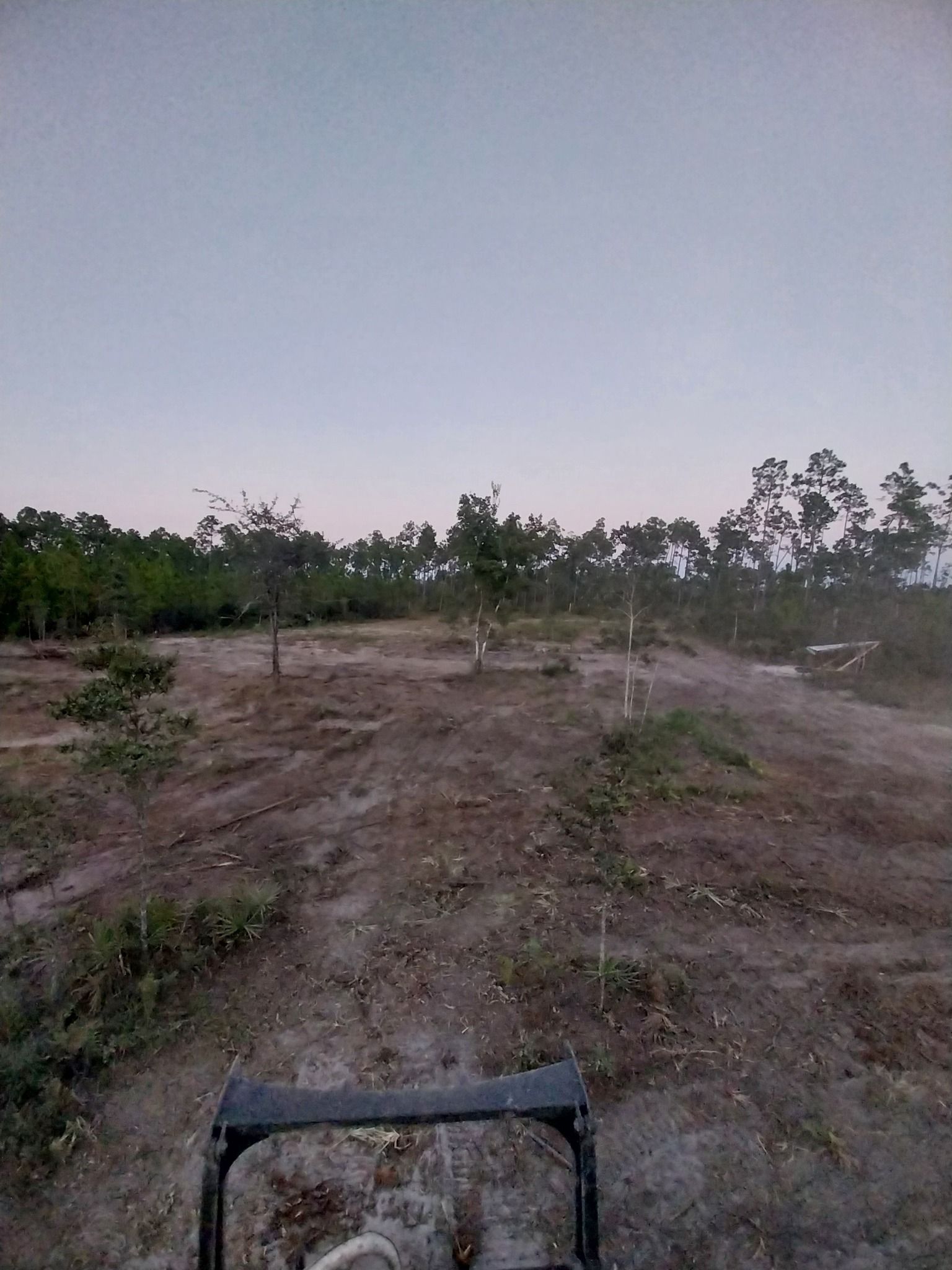 Dirt field with young trees, distant trees, and a utility vehicle at the bottom. Sky is pale blue.