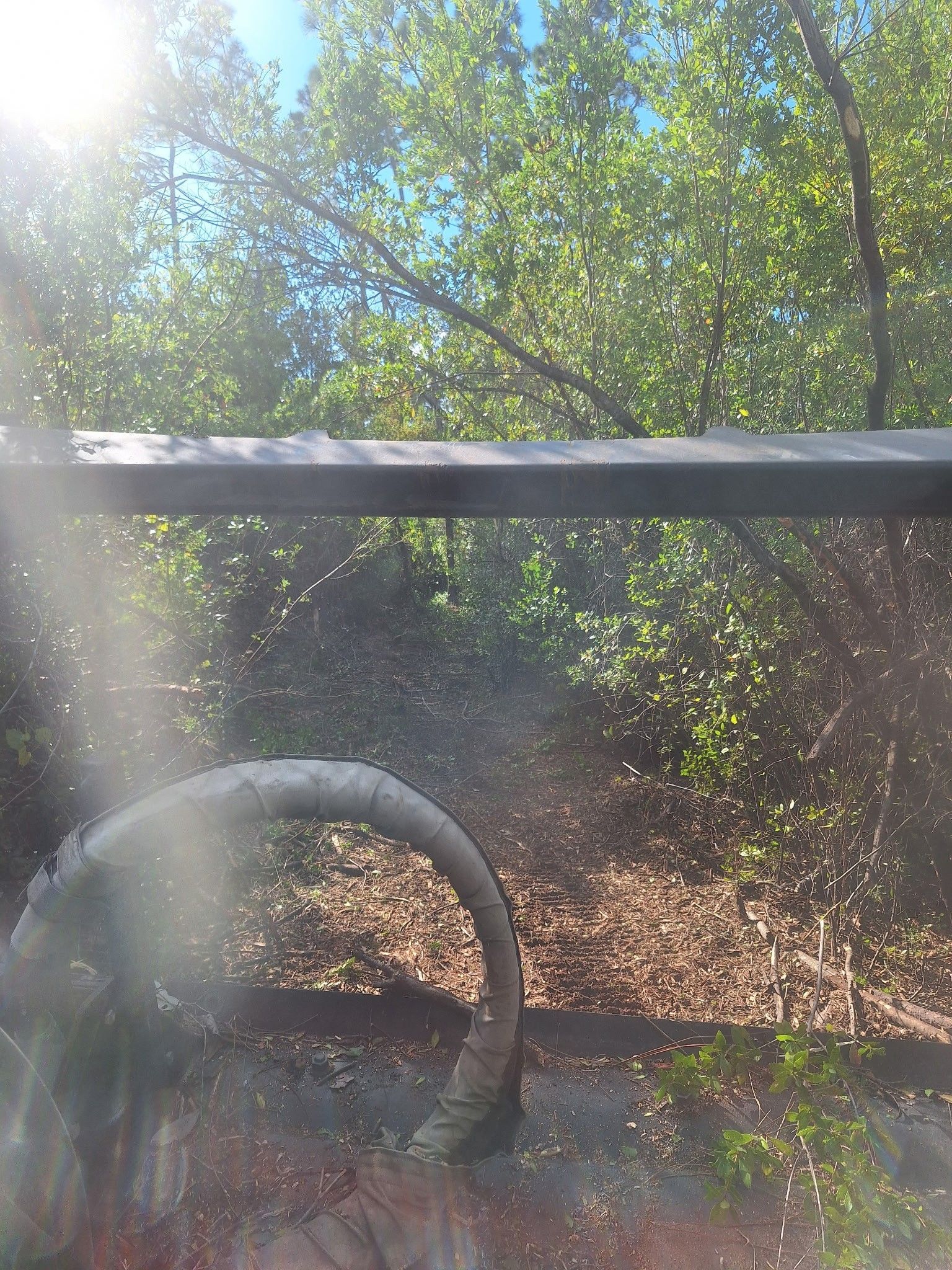 A stone dinosaur sculpture with an arched neck, viewed against a background of trees and a bright sky.