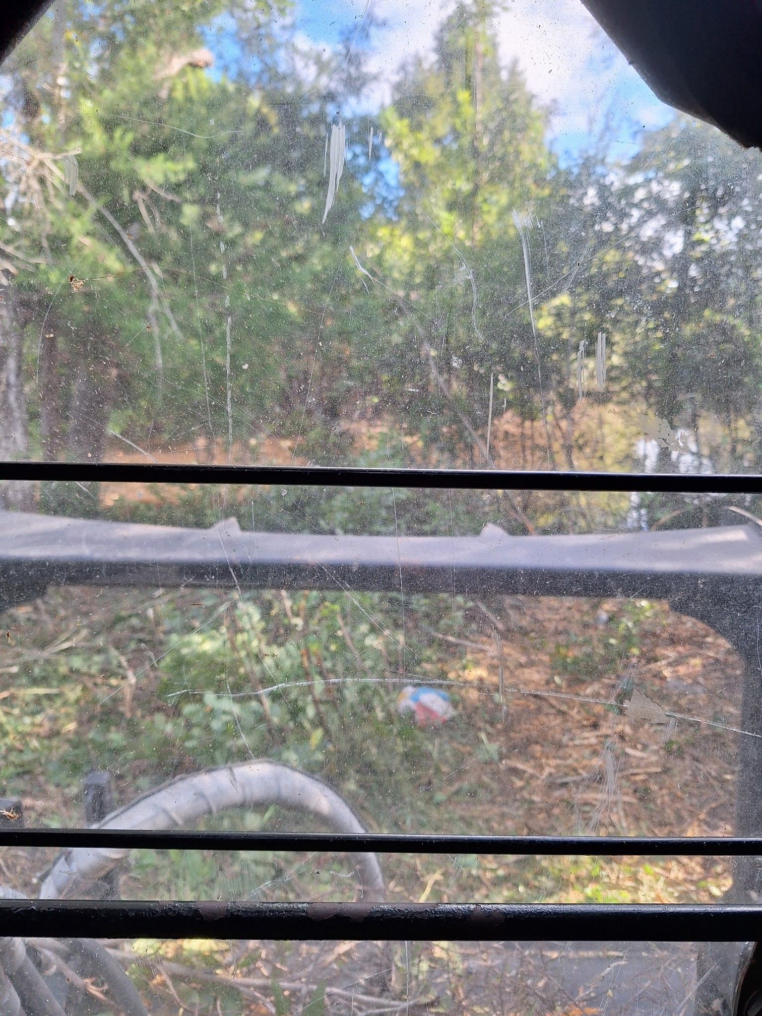 View from a vehicle window: trees, sky, and some cut branches.