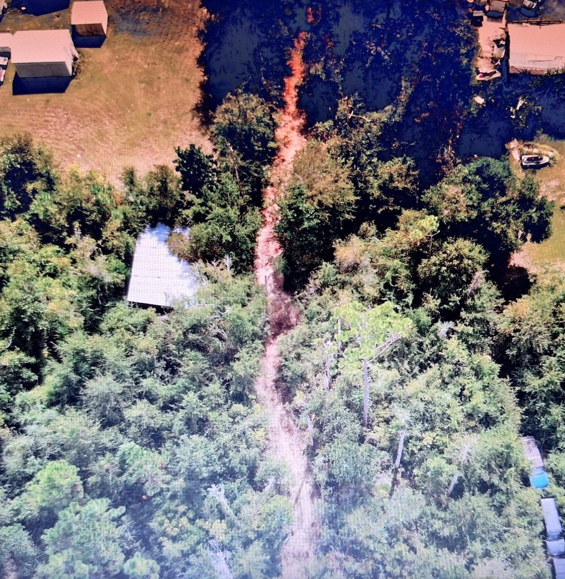 Aerial view of a wooded area with a narrow path and a few buildings visible on the edge.