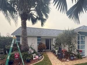 Cozy tropical front yard with palm trees, potted plants, and a house entrance walkway