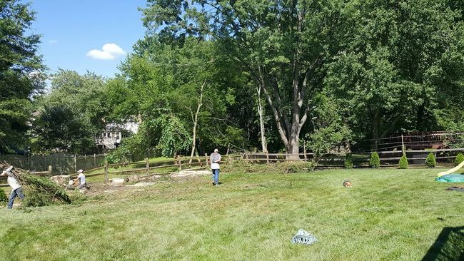 Retaining Walls — Forest Tree in Gaithersburg, MD