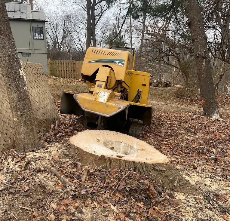 Trees — Man Cutting a Tree Stump in Gaithersburg, MD Trees — Man Cutting a Tree Stump in Gaithersburg, MD
