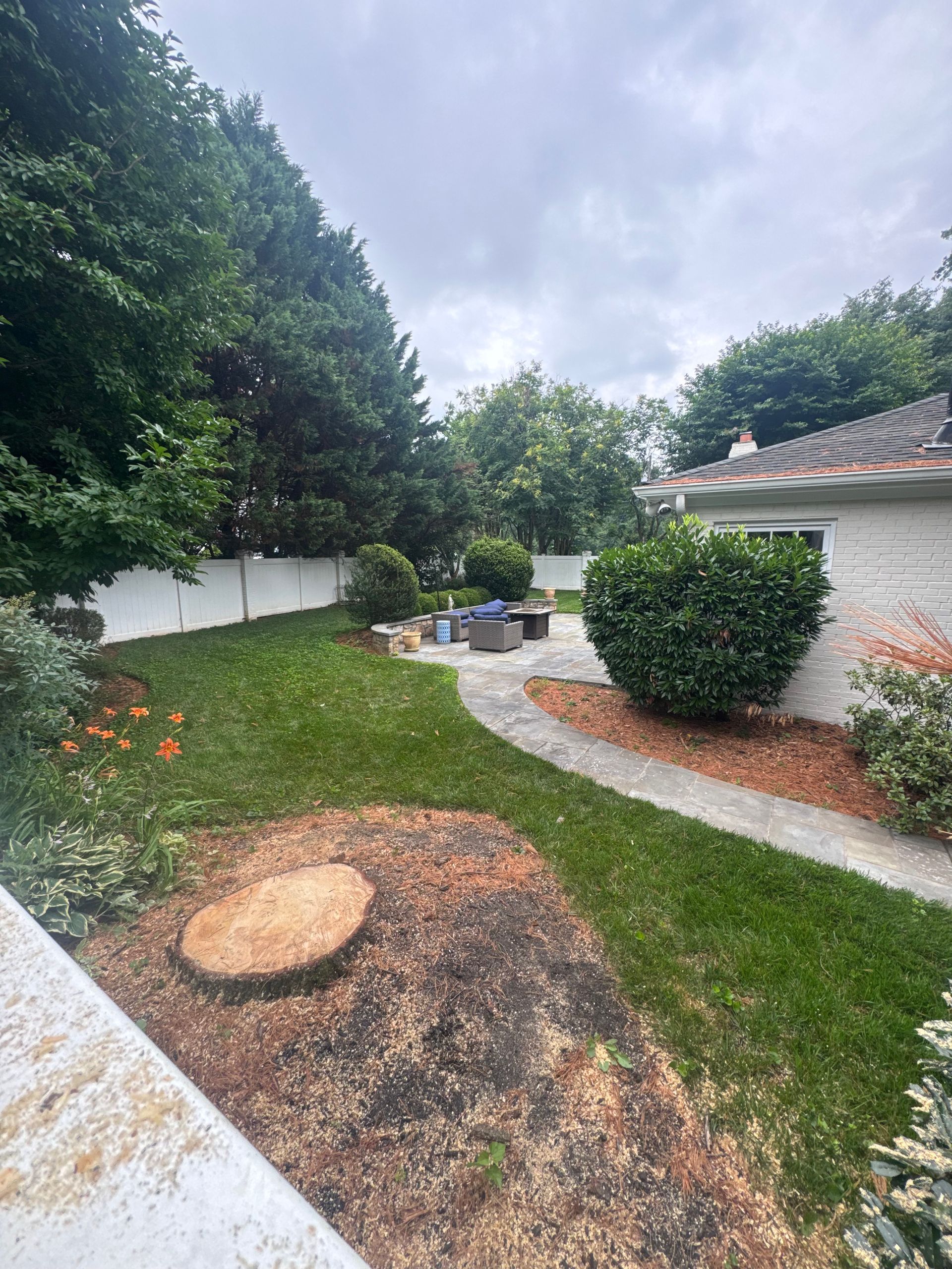 Backyard with lawn, patio path, trees, and a white house exterior under cloudy sky