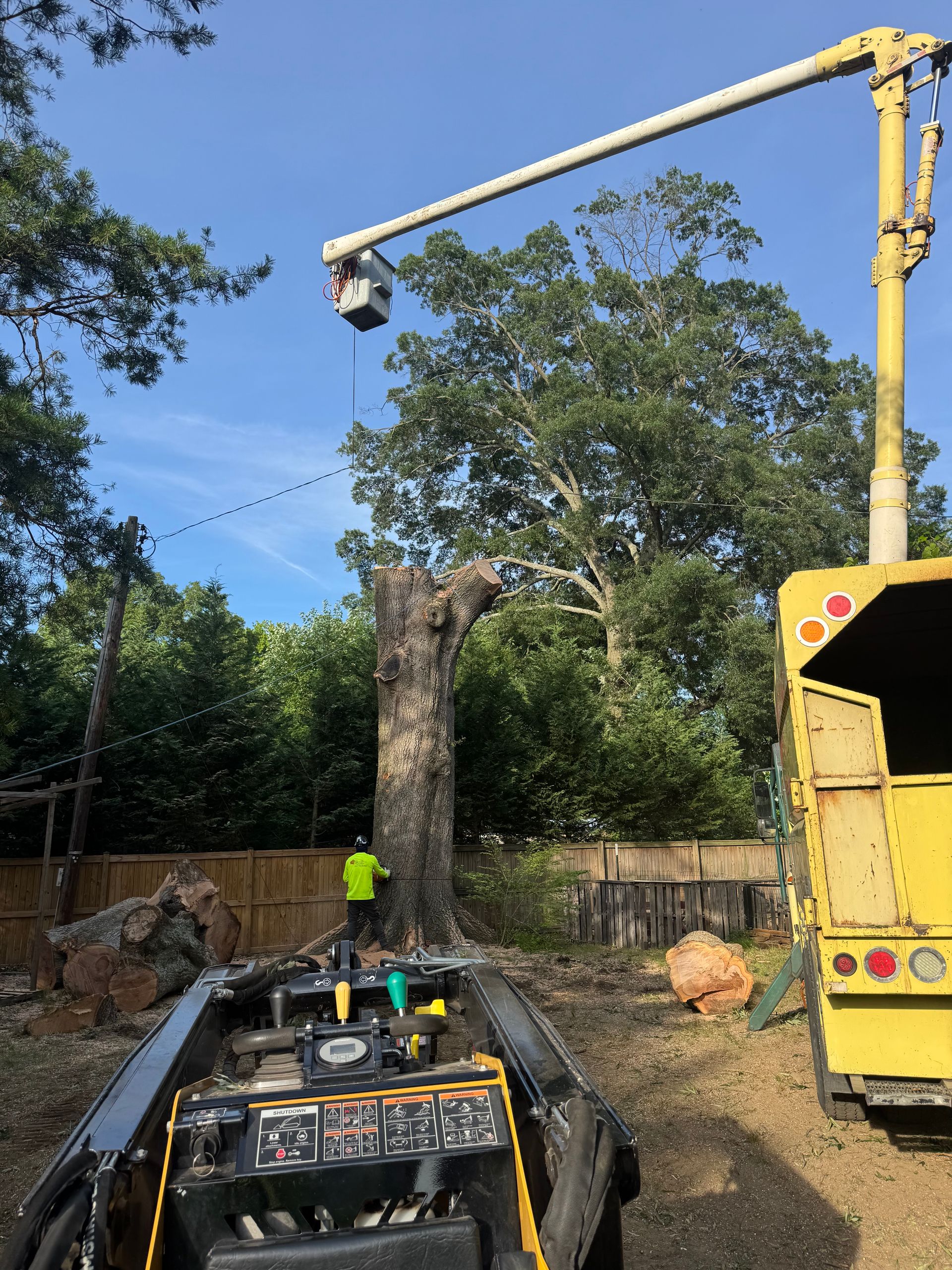 Tree removal crane lifting a cut trunk beside a car and worker in a yard