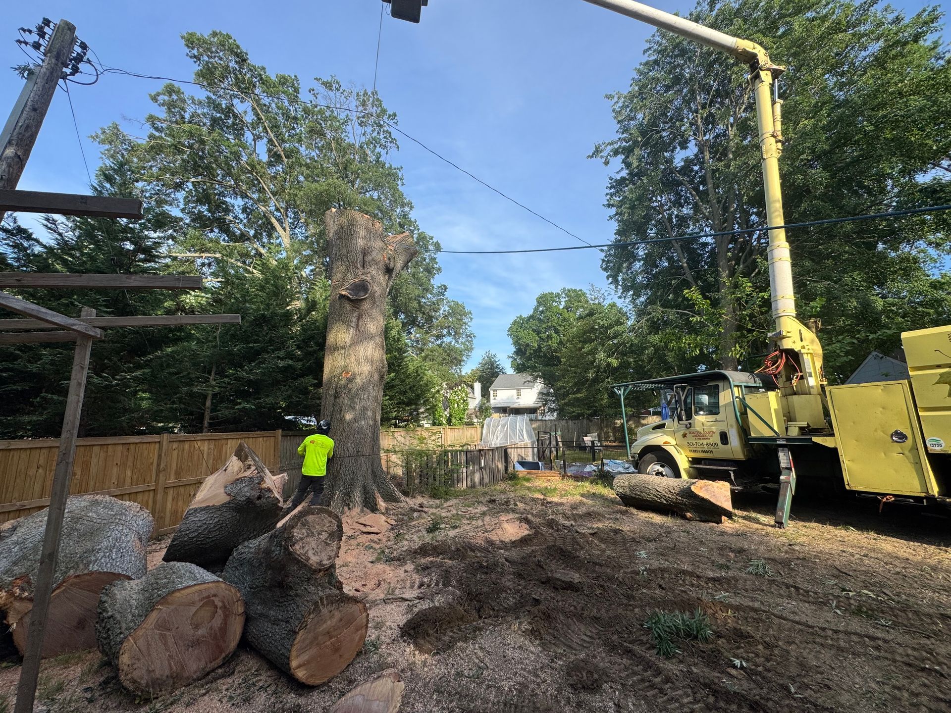 Tree removal truck lifting a cut tree trunk in a yard beside stacked logs and a utility pole