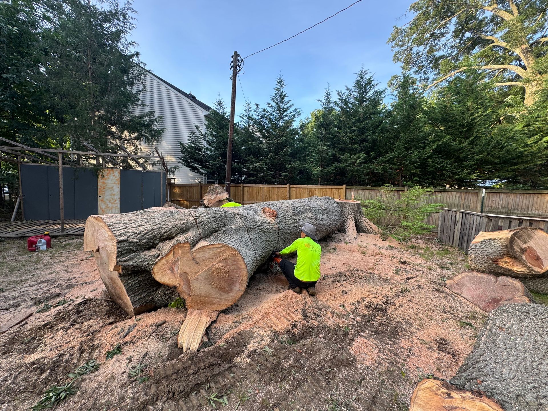 Person in neon yellow shirt cutting logs in a backyard wood pile