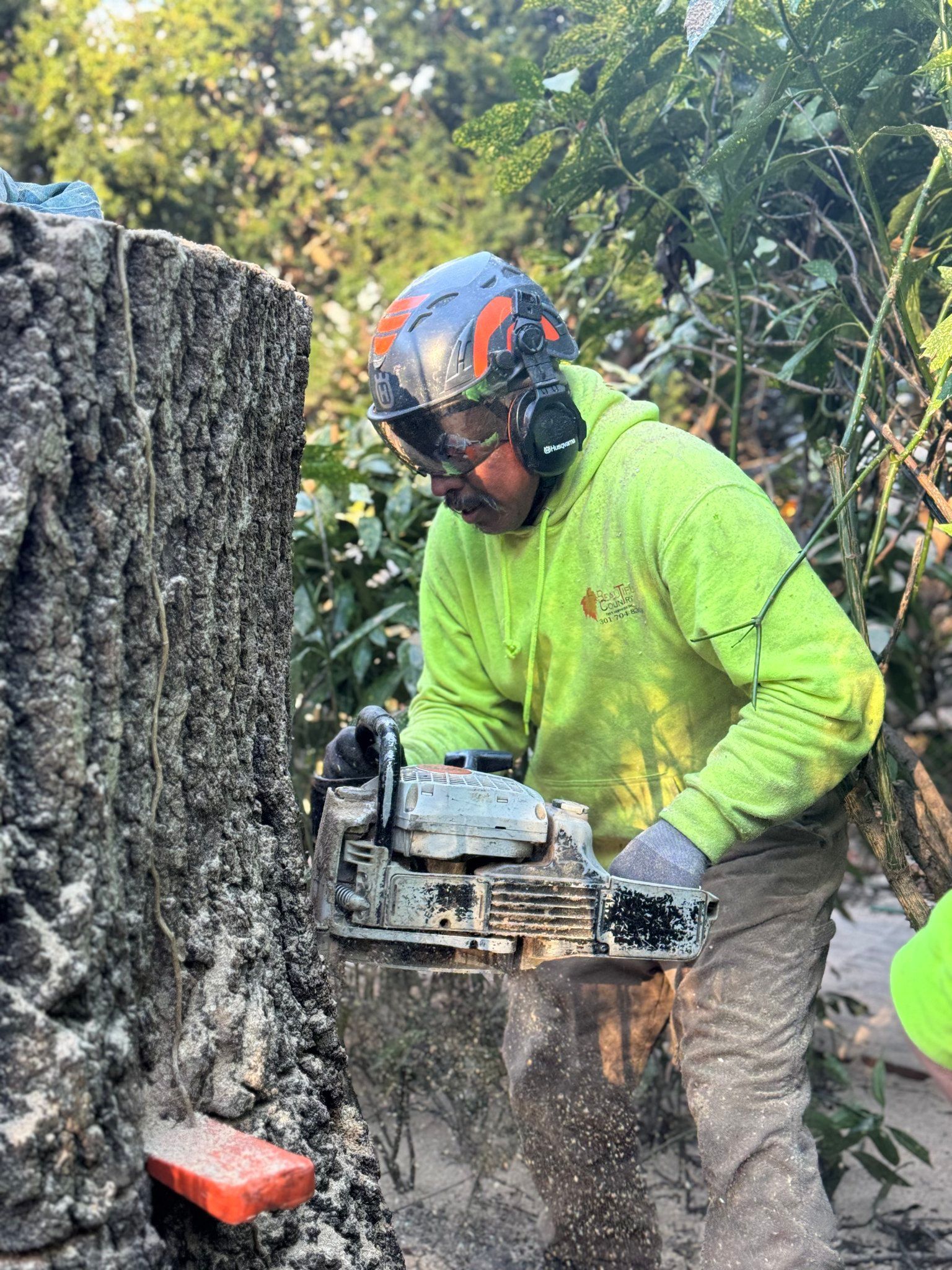 Land Grading — Tree Stump in Gaithersburg, MD