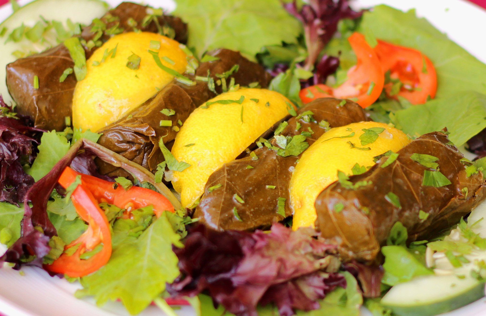 cold Turkish appetizers  at Bosphorous in Orlando