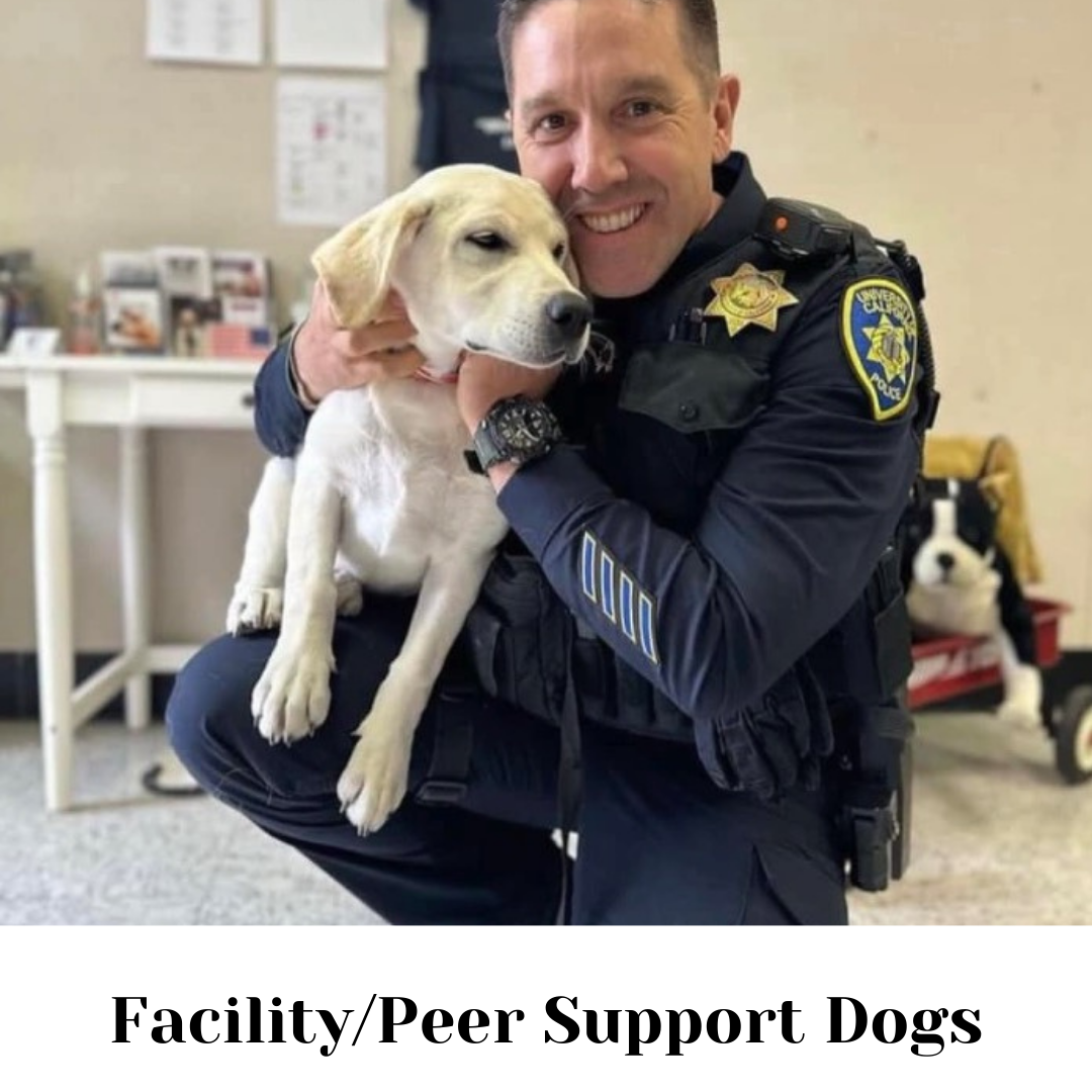 a police officer holding a puppy with the caption facility / peer support dogs