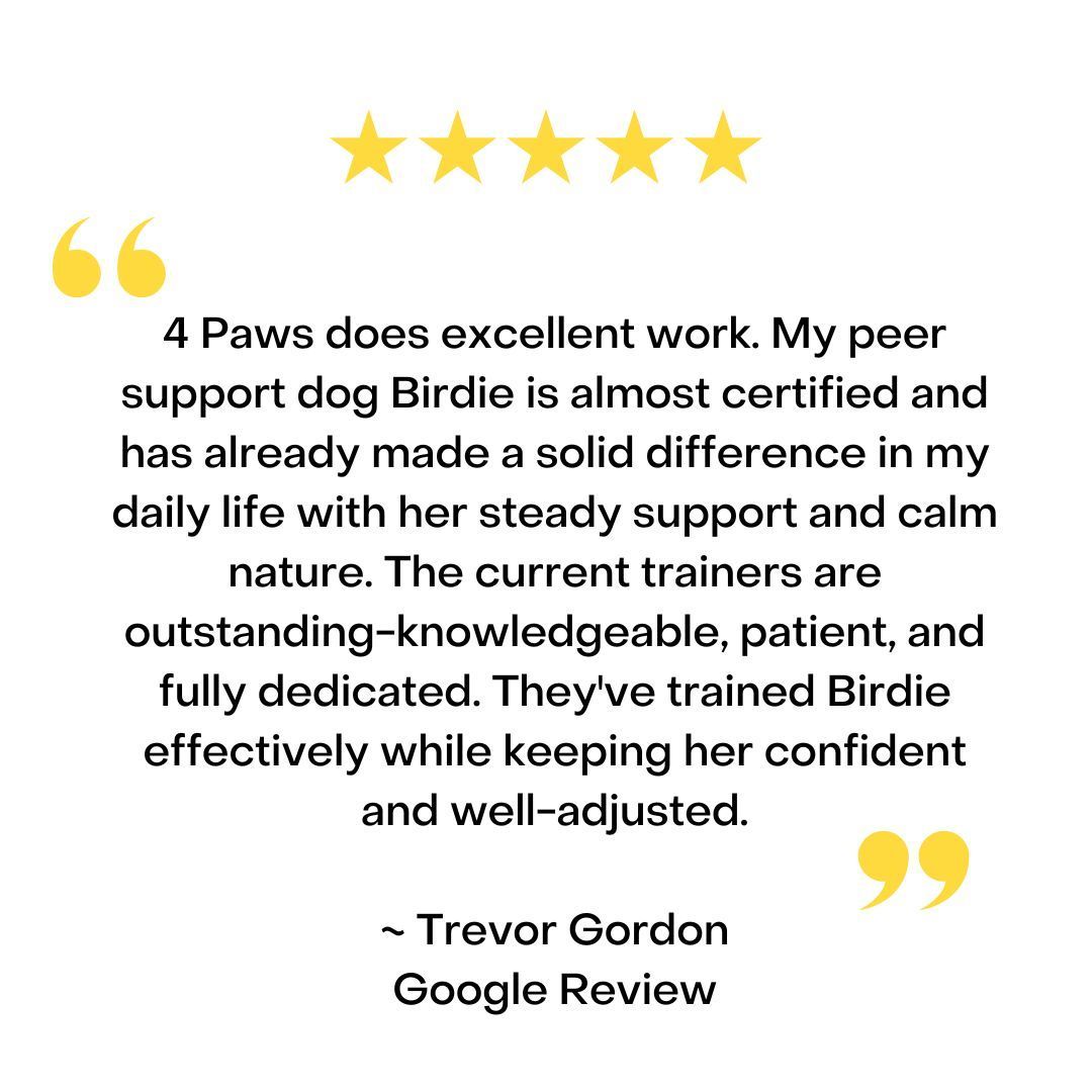 Five-star Google review from Trevor Gordon praising 4 Paws for training his peer support dog, Birdie.