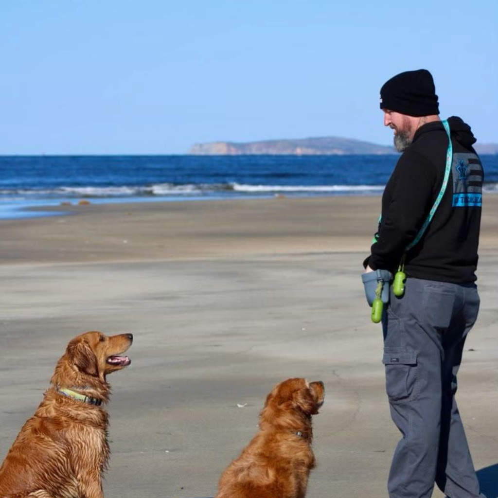 Man training two golden retrievers on a beach; ocean waves in background.