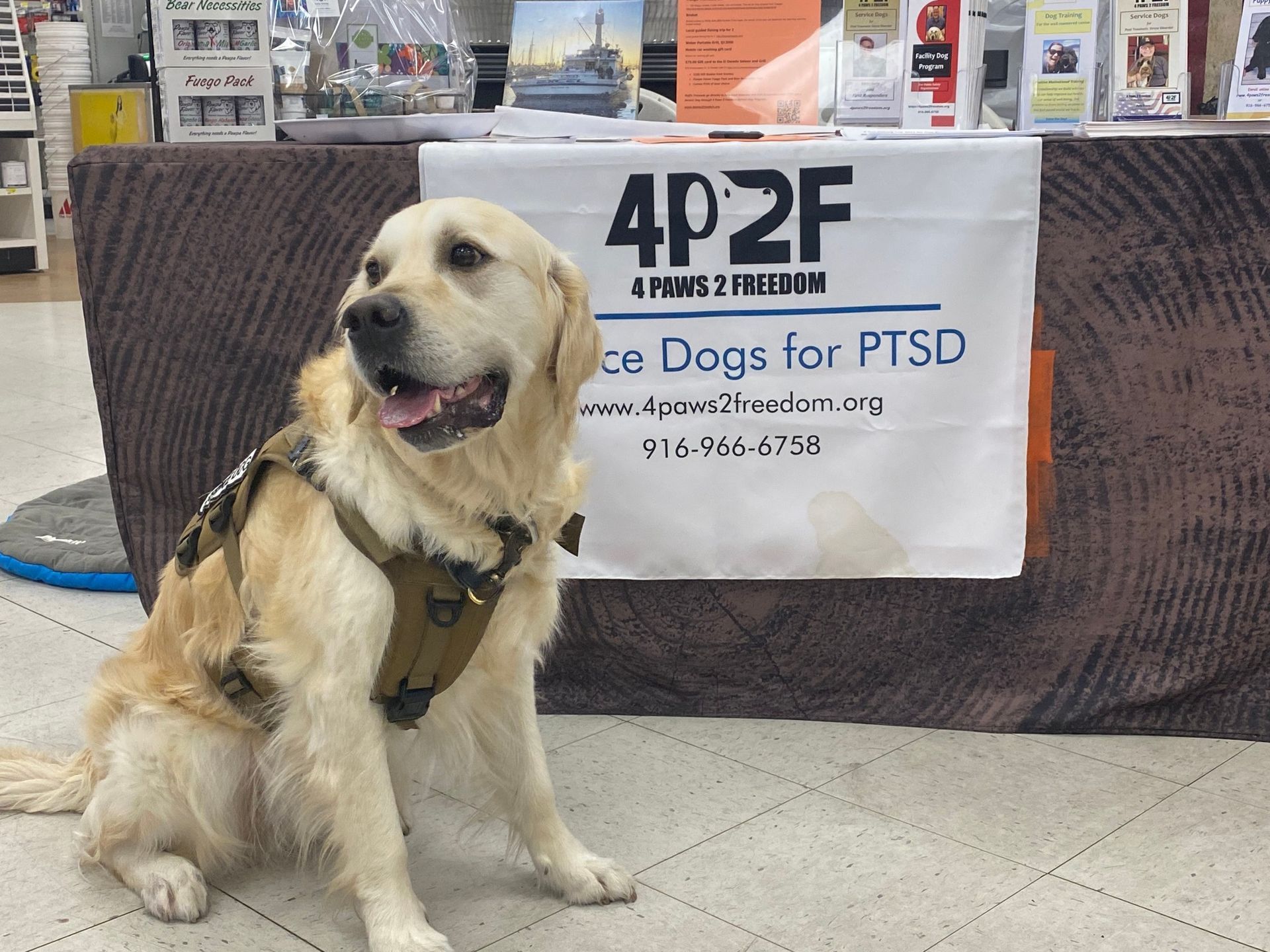 a service dog in front of an event table