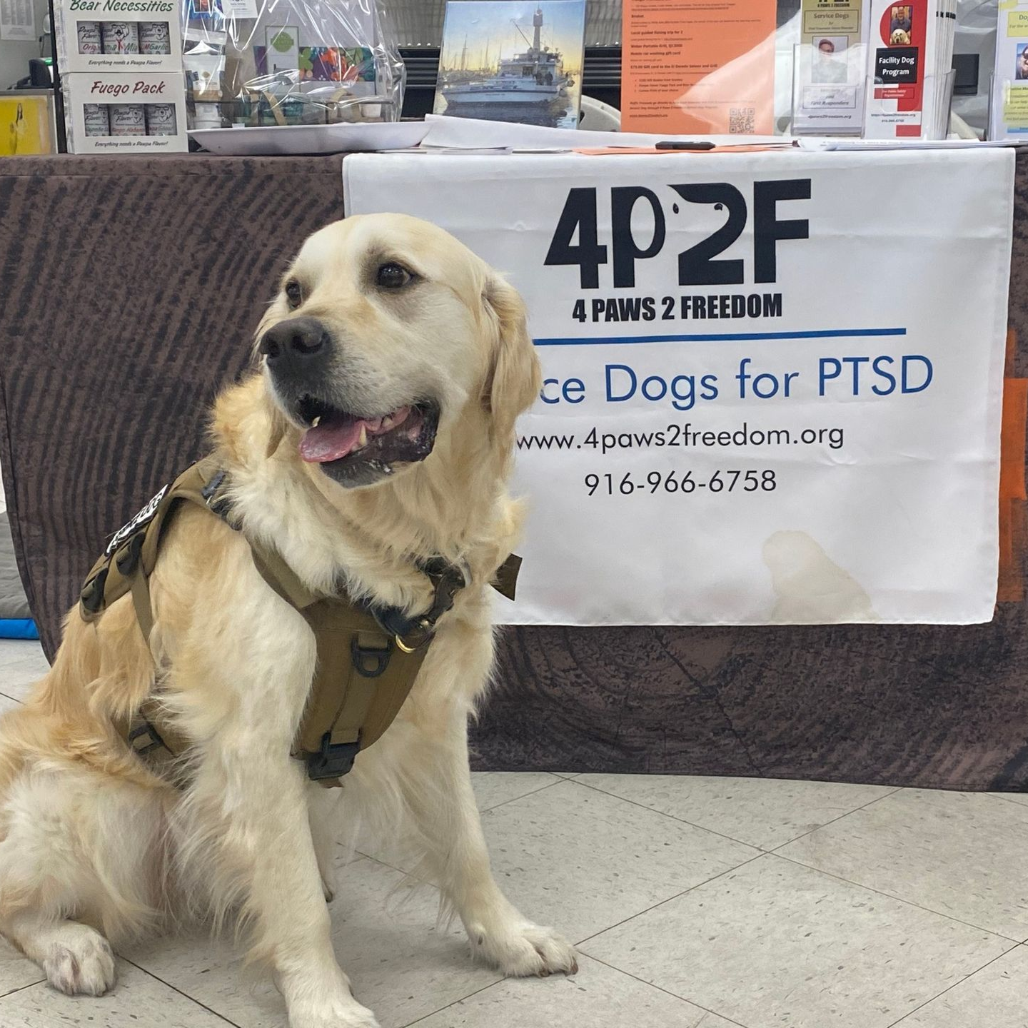 a service dog in front of an event table