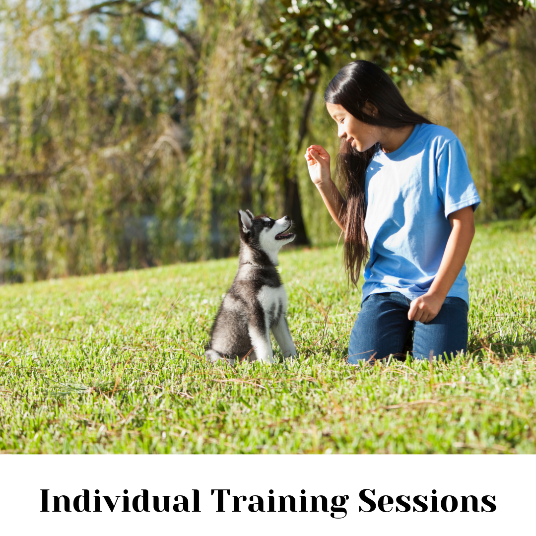 A woman is kneeling in the grass with a husky puppy