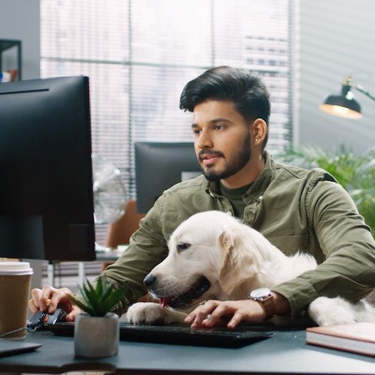 a man with a dog on his lap is using a computer
