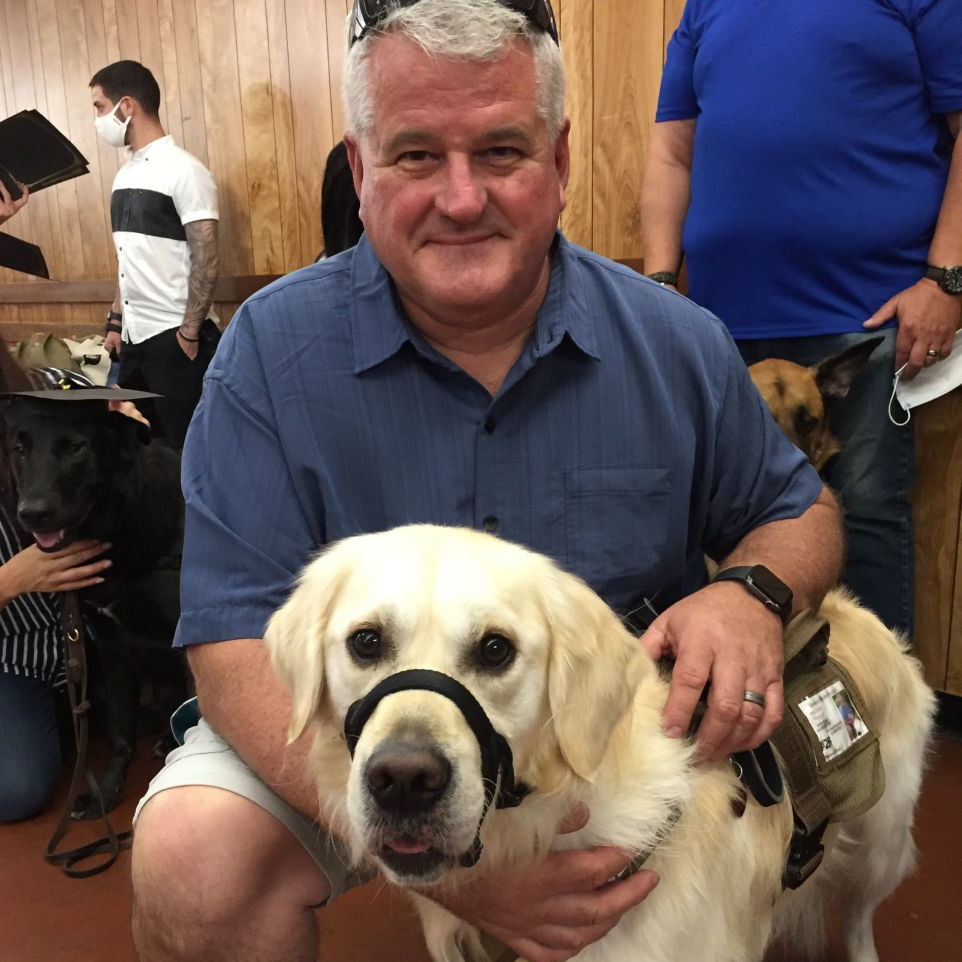 Man with light golden retriever dog wearing a harness. Other dogs and people are in the background.