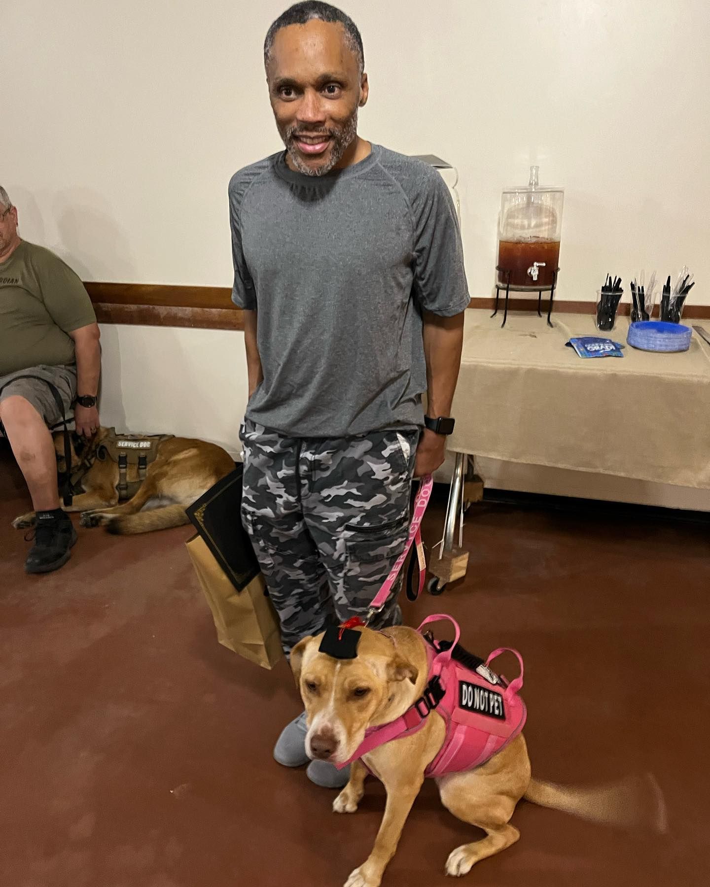 a brown dog is laying on a bed with a white pillow