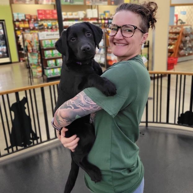 a woman in a green shirt is holding a black dog