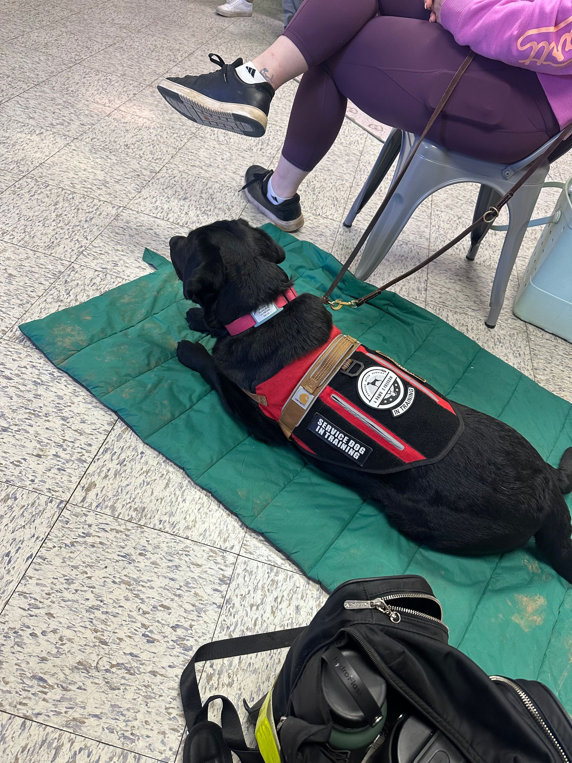 a woman with glasses and her dog