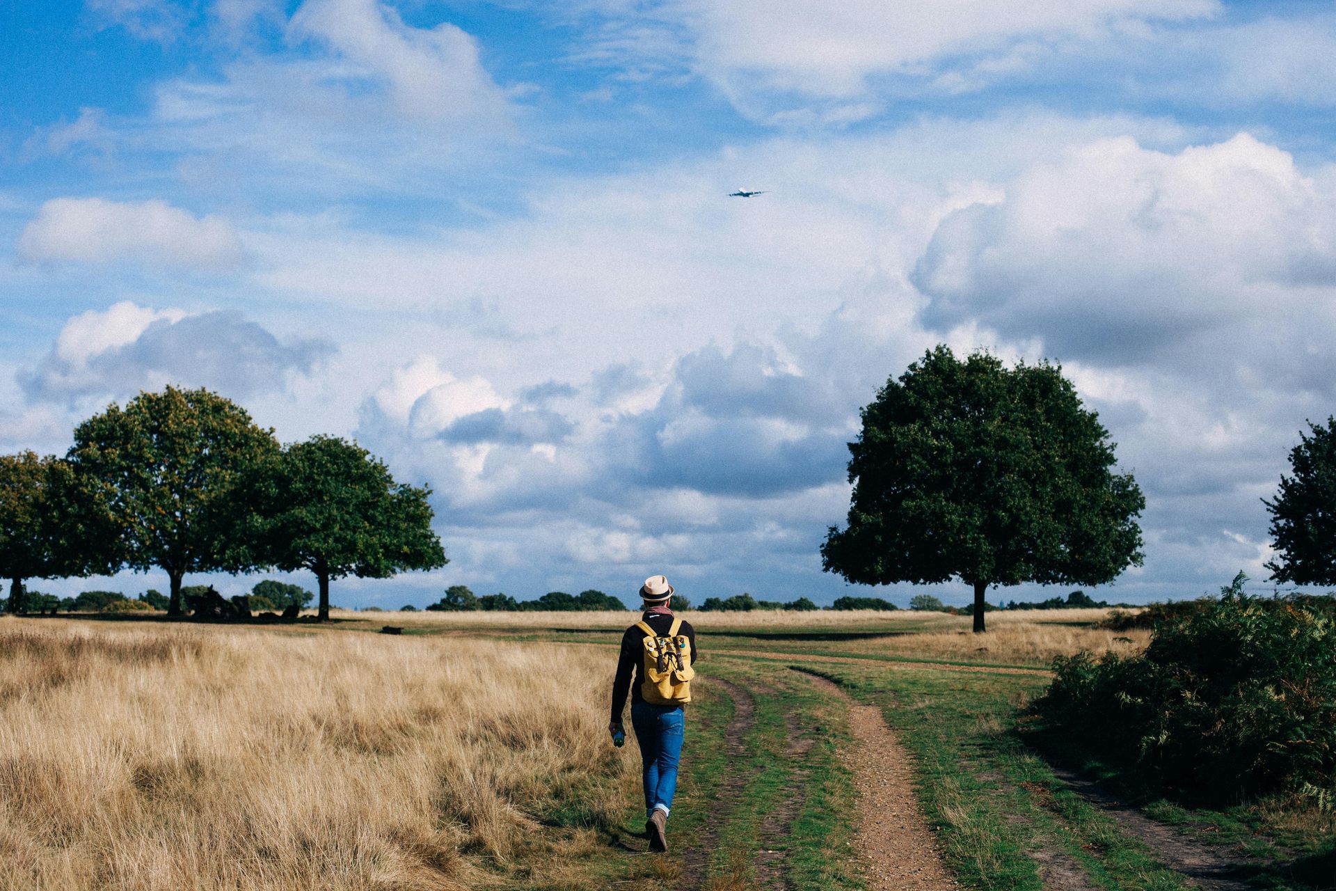 Person walking on a path through a field, wearing a backpack, trees and cloudy sky in the background.