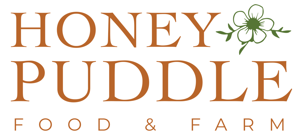 Orange Honey Puddle Food & Farm Logo. Meal Prep Services in Hallsville, MO.