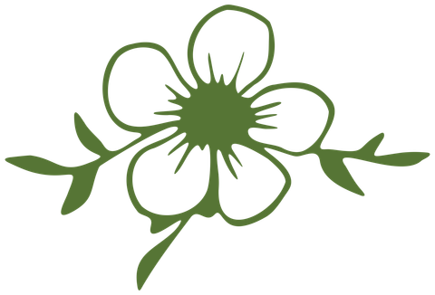 An Illustration of a Green Flower. Meal Prep by Honey Puddle Food & Farm in Hallsville, MO.