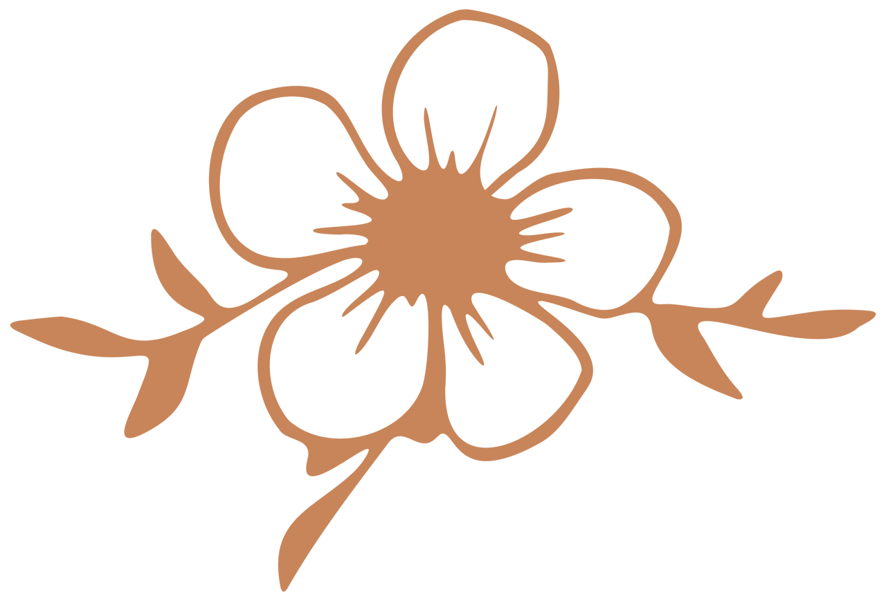 Orange Flower Illustration for Honey Puddle Food & Farm in Hallsville, Missouri.