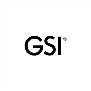 GSI - logo
