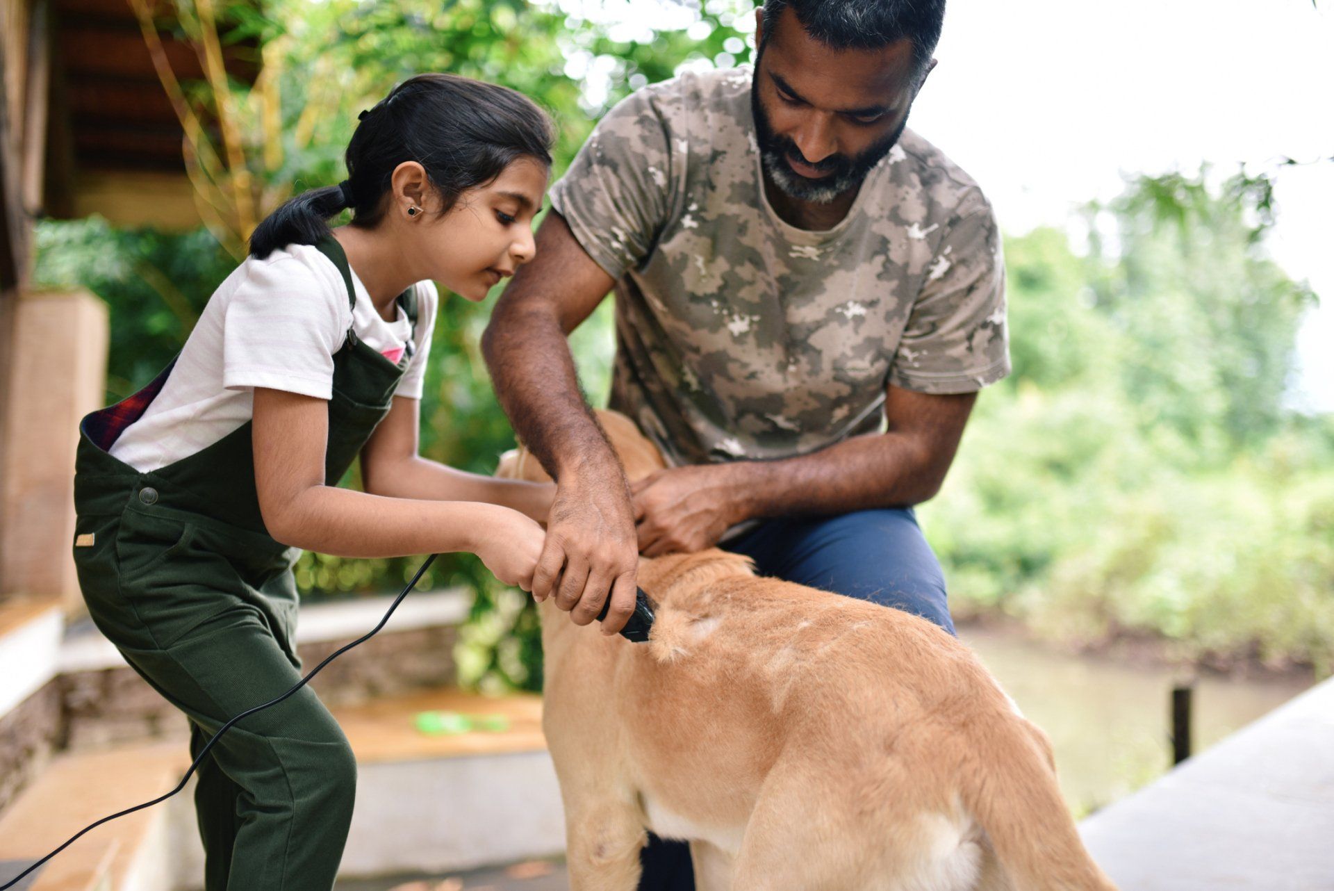 Grooming Services — Arlington, TX — Pet Club